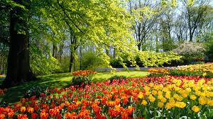 Select from premium flowers garden background of the highest quality. Flowers Garden Hd Wallpaper