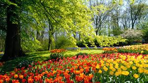 Garden nature flowers flower background landscape flower beautiful grass park flower field gardening flower bouquet forest roses beautiful flowers sky background flower wallpaper beach love sunset vegetable garden hd background butterfly lawn rose garden flower garden videos nature wallpaper bloom river leigh patrick. Flowers Garden Hd Wallpaper