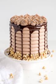 Nutella Cake Nutella Cake Savoury Cake Tasty Chocolate Cake