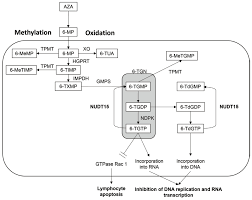 Buy hair loss shampoos and get the best deals at the lowest prices on ebay! Intestinal Research