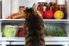 Can cats eat cooked potatoes. Can Cats Eat Carrots Catster