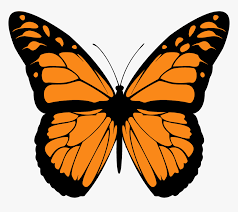 Pin the clipart you like. Monarch Butterfly Png High Quality Image Monarch Butterfly Wings Transparent Png Transparent Png Image Pngitem