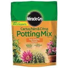 Planting it is a little trickier. How To Grow Aloe Plants What Kind Of Soil Do Aloe Plants Need