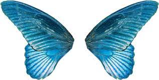 Pin On Wings