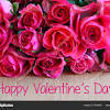 Valentine day flowers for him, happy valentines day flowers images 1