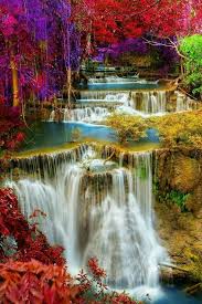 These nature pictures include serene pictures of trees, lakes, plants, flowers, outdoor animals, seascapes and more. Pin By Riyaz Safi On Profile Pics Beautiful Waterfalls Beautiful Nature Wallpaper Nature Photography