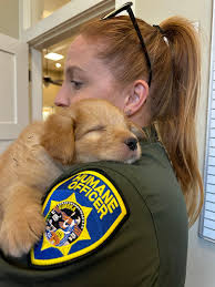 In the spirit of Animal Control Appreciation Week, the Humane Society of  Ventura County proudly celebrates our Humane Officers during what we call  #HumaneOfficerAppreciationWeek! Our team of specially trained professionals  goes beyond