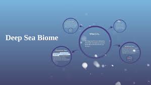 We use cookies to ensure that we give you the best experience on our website. Deep Sea Biome By Luke Chakkery