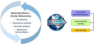 The world peace forum over the weekend in beijing was an epitome of the contest between the east and the west. Waste Biorefinery Towards A Sustainable Circular Bioeconomy A Solution To Global Issues Springerlink