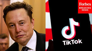 Could Elon Musk Acquire TikTok's US Operations? Here's What You Need To Know