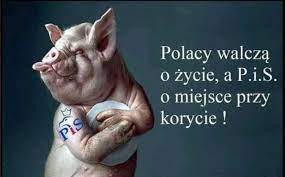Racjonalna Polska - Rest in P.i.S ... | Facebook
