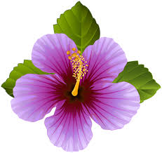 Purple Flower Transparent Clip Art Image Spring Flower Art Digital Flowers Flower Painting