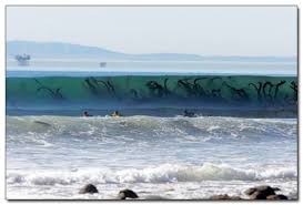 18 Images You Won T Believe Aren T Photoshopped Part 9 Unbelievable Pictures Scary Photos Creepy Pictures