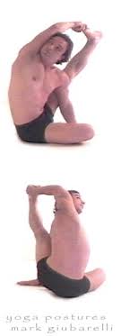 Parivrtta Janu Sirsasana Iii Yoga Exercise