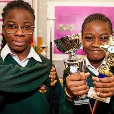 BT Young Scientist: Category Award winners