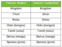 We did not find results for: Sebutkan Urutan Tingkatan Takson Dari Yang Tertinggi Sampai Yang Brainly Co Id