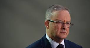 Vaccines, Mediscare and rorts: Labor's digital ad blitz at swing seats