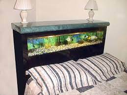 Betta fish can make the perfect dorm room pet. Bed Frame Fish Tank Aquarium Bed Frame Fish Tank Decorations