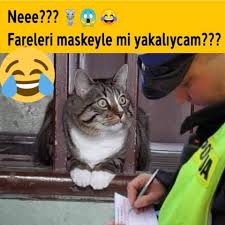 Elif Rana Adli Kullanicinin Erdogan Panosundaki Pin 2020 Komik Fikralar Komik Seyler Komik Metinler