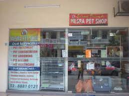 Mesra pet shop (putrajaya) is a veterinarian based in putrajaya, selangor. Vetacat Bangi Kajang Putrajaya Serdang Ampang ÙÙŠØ³Ø¨ÙˆÙƒ