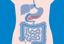 But if all or most of your bowel movements have these characteristics, let your doctor know. What Are The Best Surgery Options For Your Pancreatic Condition Health Essentials From Cleveland Clinic