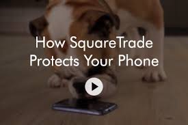 Squaretrade protection plans are only valid for new products purchased at amazon within the last 30 days. Squaretrade Family Plans Pp5 Squaretrade