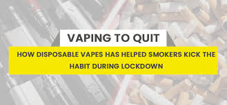 Selling disposable vapes, disposable vapes, vaping 5gvape puffin disposable vape 300mah 1.8ml 5 optional flavors description:5gvape puffin disposable vape is. How Disposable Vape Has Helped Smokers To Quit Smoking Mio Vapor