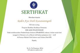 We did not find results for: Sertifikat Pkl Smk Masnurul
