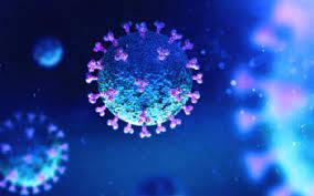 Coronavirus Disease 2019