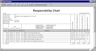 Roles And Responsibility Template Roles And