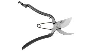 Japanese Sokan Garden Bonsai And Topiary Shears