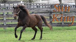 Remembering Victor Cooley