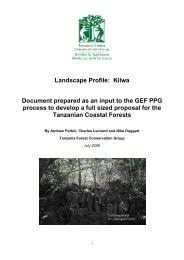 Image result for Commiphora fulvotomentosa