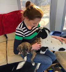 Humane society of tulsa 918 495 3647. Our New Arf House Animal Rescue Foundation Of Tulsa Facebook