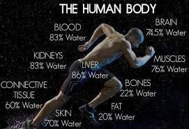 learn fitness on twitter human body water health body