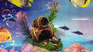 Enfeite Aquario Barril Duplo Toca Do Betta Com Plantas R 26 00 Em Mercado Livre Betta Enfeite Aquario Acessorios Para Aquario