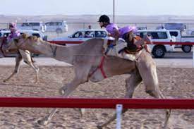 Did you scroll all this way to get facts about camel racing? Ten Year Olds Forced To Risk Lives Racing Camels In Uae Anti Slavery International