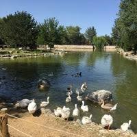 Yedi Kugular Kus Cenneti 8 Tips De 3961 Visitantes