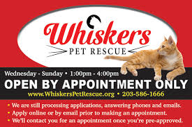 Alibaba.com offers 1,024 cat rescue products. Foster A Whiskers Pet Rescue Animal Whiskers Pet Rescue