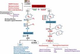 Image result for Glyphaea