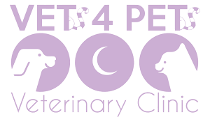 I think she's had tooth extractions in the past in normal vets apparently don't perform significant numbers of extractions while the dentists. Vets 4 Pets Qatar One Of The Best Vets In Doha Doha Vets Vets In Doha Pet Boarding Doha And Pet Grooming Doha