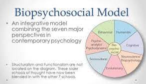 Biopsychosocial model this model views the interaction among biological, psychological and sociocultural variables. The Biopsychosocial Model Of Health And Illness