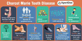 10 Charcot Marie Tooth Disease Ideas Teeth Diseases Disease Cmt