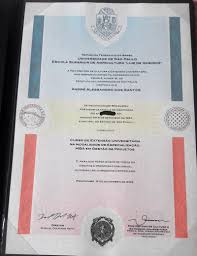 The diplomas for graduates are awarded with the grading of distinctions, merits or pass. Rodrigo Bergamo Fiscal De Tributos Prefeitura Da Estancia Turistica De Sao Roque Linkedin
