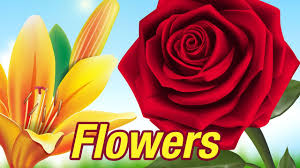 Check spelling or type a new query. Flowers Name For Kids In English à¤« à¤² à¤µà¤° à¤¸ à¤¨ à¤® Videos For Children Flower Kidslearning Youtube