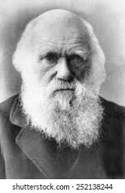 6+ Thousand Charles Darwin Royalty-Free Images, Stock Photos & Pictures