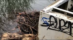 Black diamond pest control has been serving communities for over 80 years! Neighbor Concerned About Beavers Being Killed Msd Looking To Change Rules To Trapping Nuisance Animals After Weareiowa Com