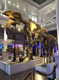 Fie că ești pasionat de pictură și desen, de robotică sau de chimie, fie că joci șah sau construiești prototipuri lego, te poți înscrie la oricare dintre ateliere de weekend de la antipa completând formularul de rezervare: Pin On Turist In Romania