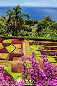 Les Jardins De Madeira A Funchal Voyage Madere Madere Funchal