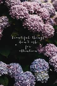 Kitty Gallannaugh Photography S Photos Kitty Gallannaugh Photography Beautiful Quotes Attention Quotes Friendship Quotes